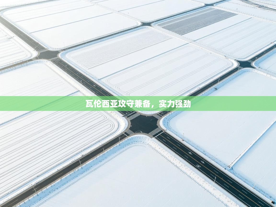 瓦伦西亚攻守兼备，实力强劲  第1张