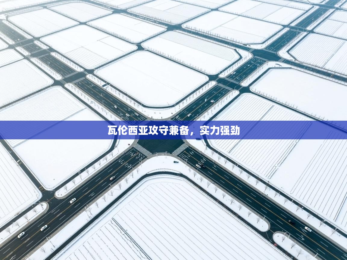 瓦伦西亚攻守兼备，实力强劲  第2张