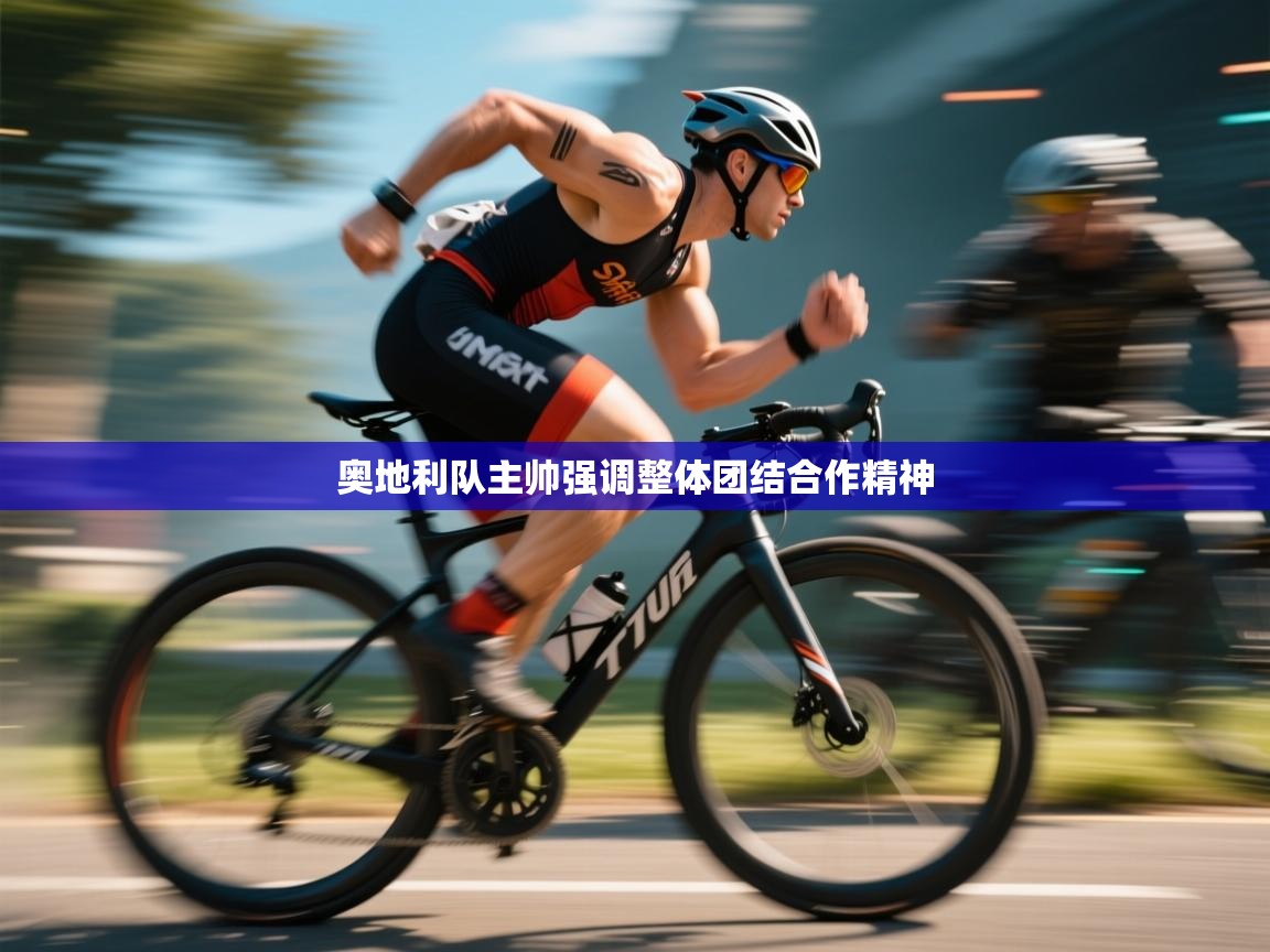 奥地利队主帅强调整体团结合作精神  第1张