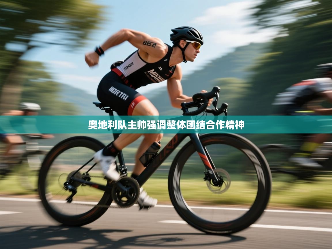 奥地利队主帅强调整体团结合作精神  第2张
