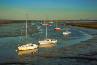 爱游戏体育在线-兴隆湖上演“国际艇战”，多国精英争锋